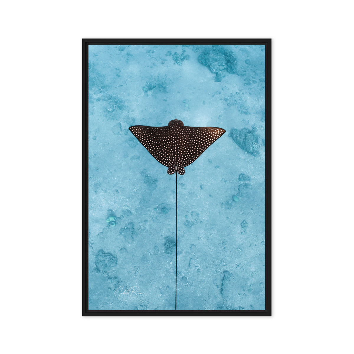 Eagle Ray Vertical canvas framed underwater eagle ray art print