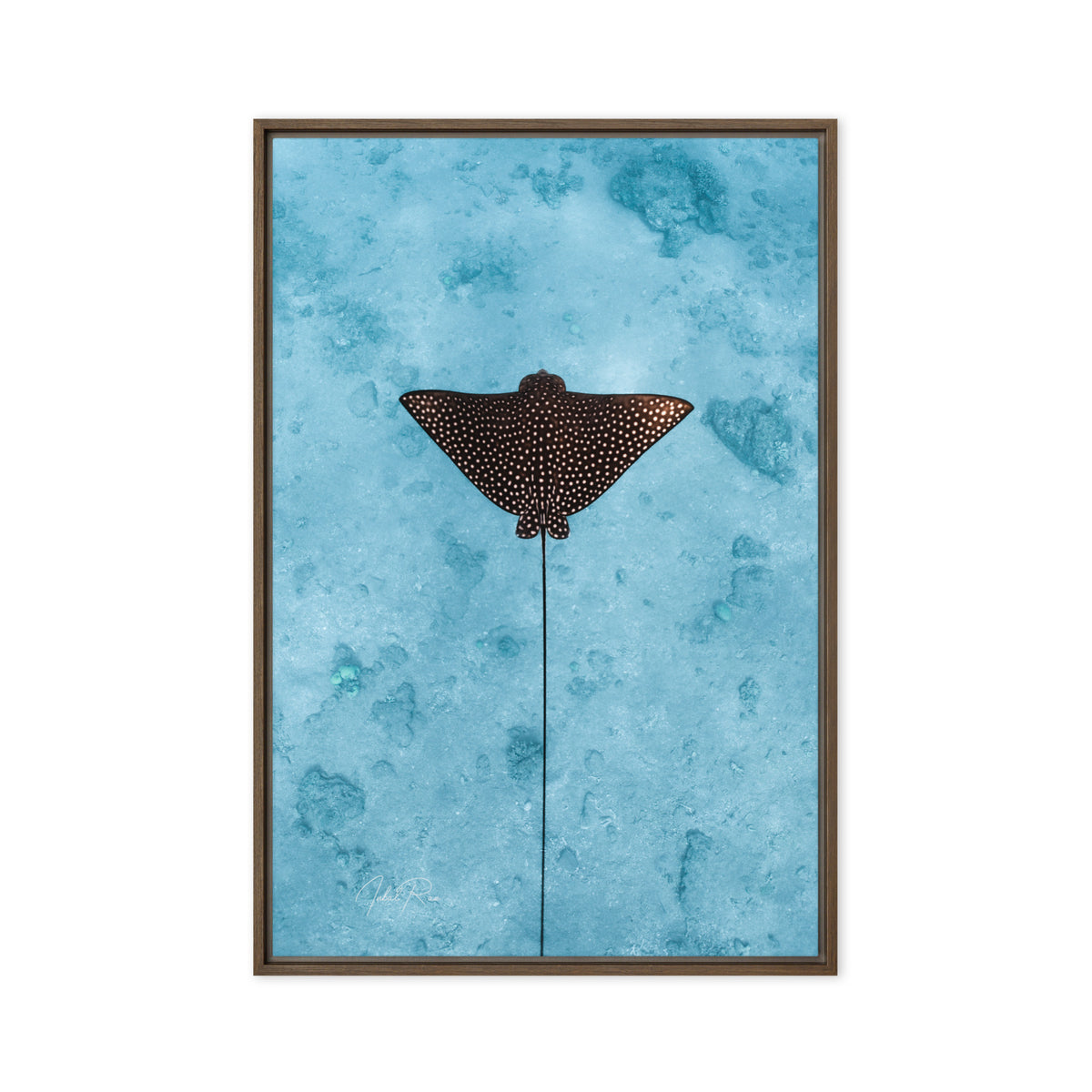 Eagle Ray Vertical canvas framed underwater eagle ray art print