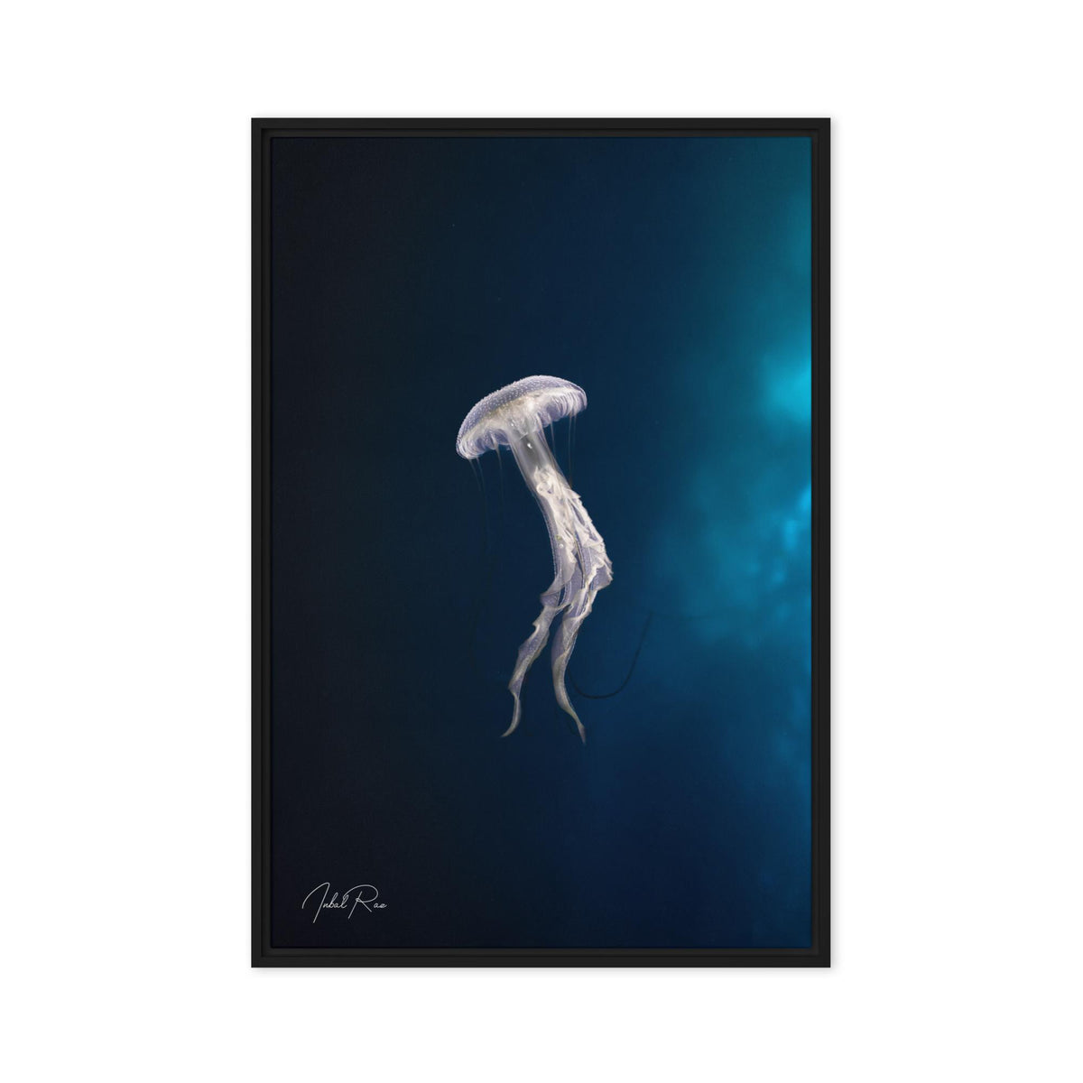 Elegance of a Jellyfish canvas framed underwater jellyfish print