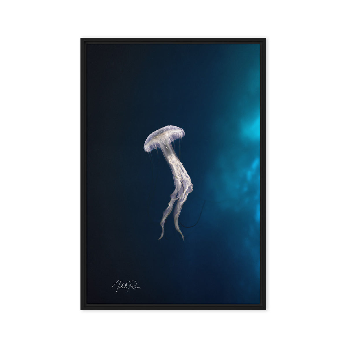 Elegance of a Jellyfish framed ocean photography print