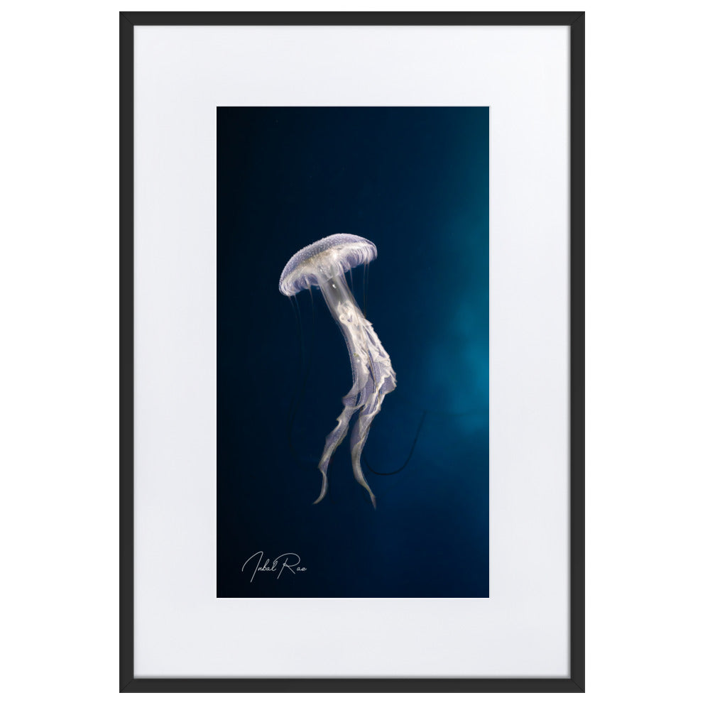 Elegance of a Jellyfish matte framed jellyfish wall art for modern decor