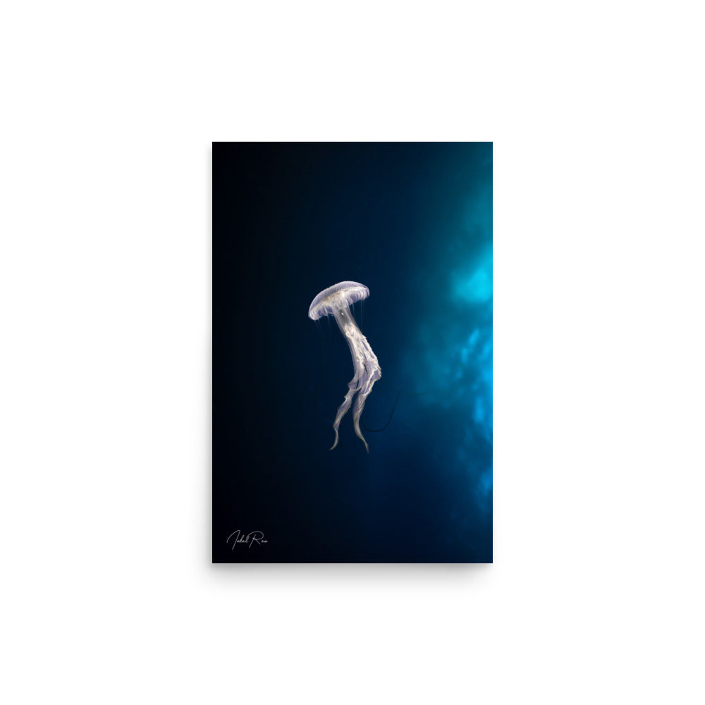 Elegance of a Jellyfish unframed underwater jellyfish wall art print
