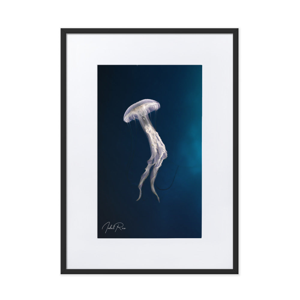 Elegance of a Jellyfish