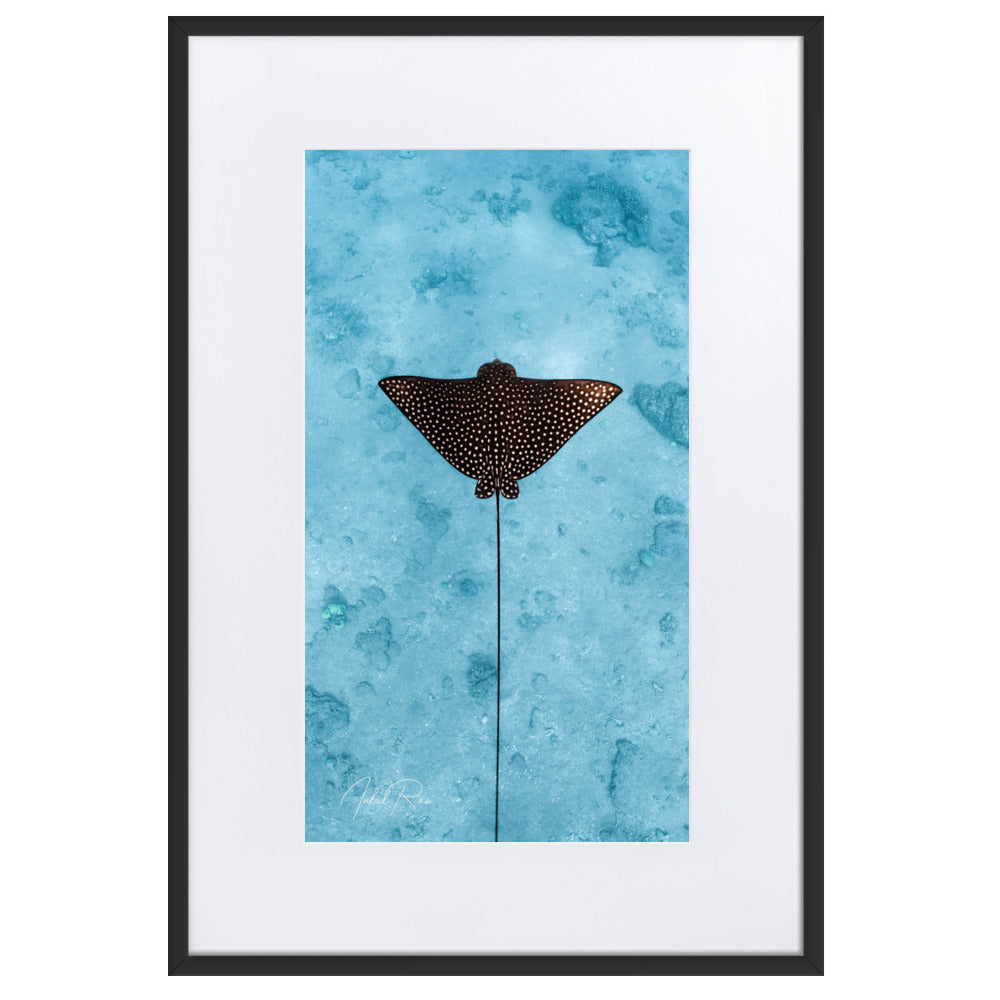 Eagle Ray (vertical)