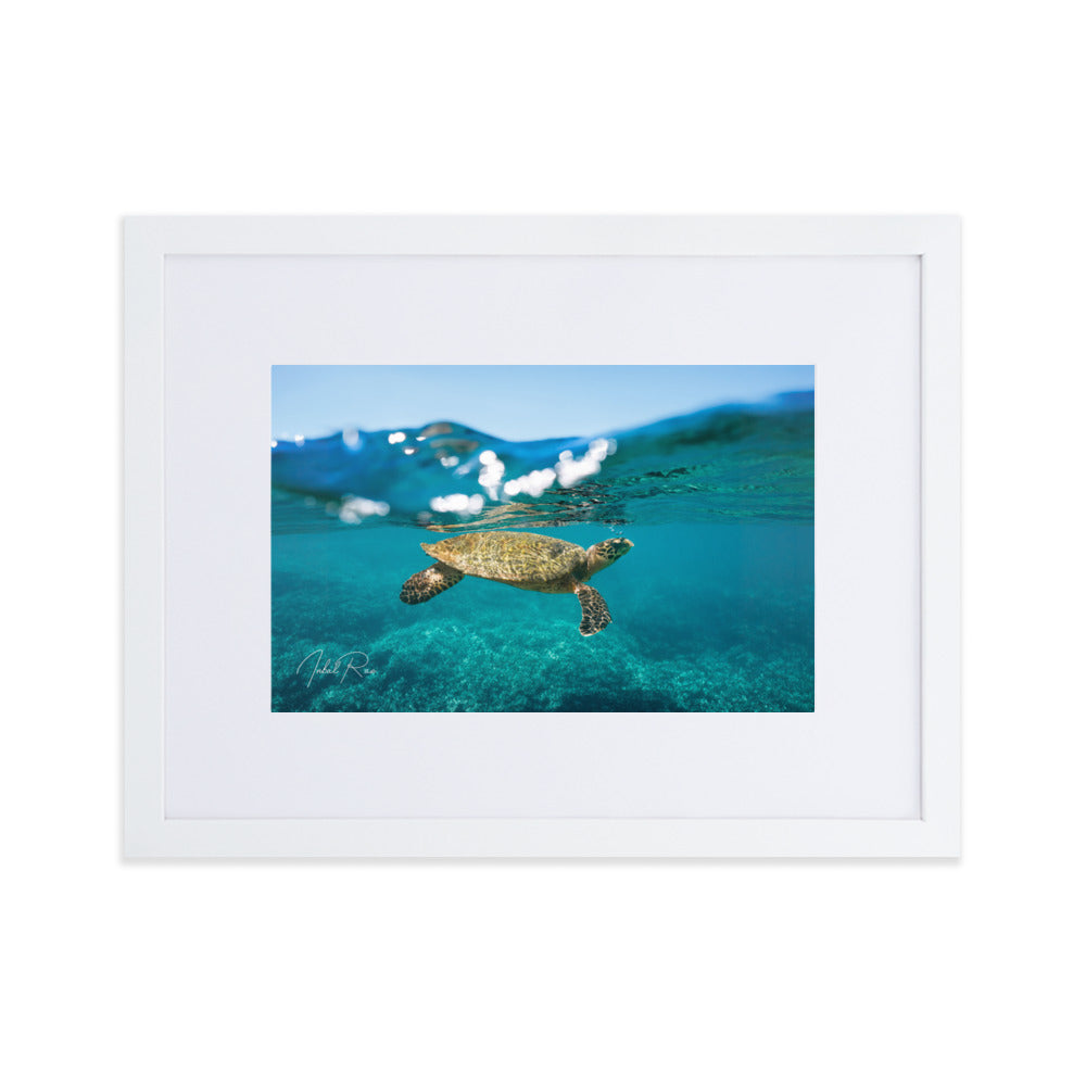 Sea Turtle at the Surface