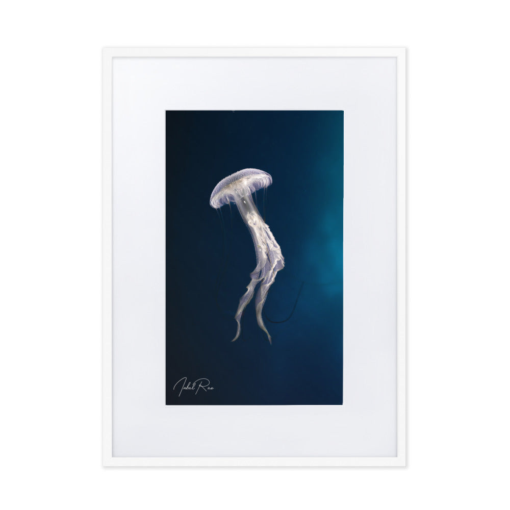 Elegance of a Jellyfish
