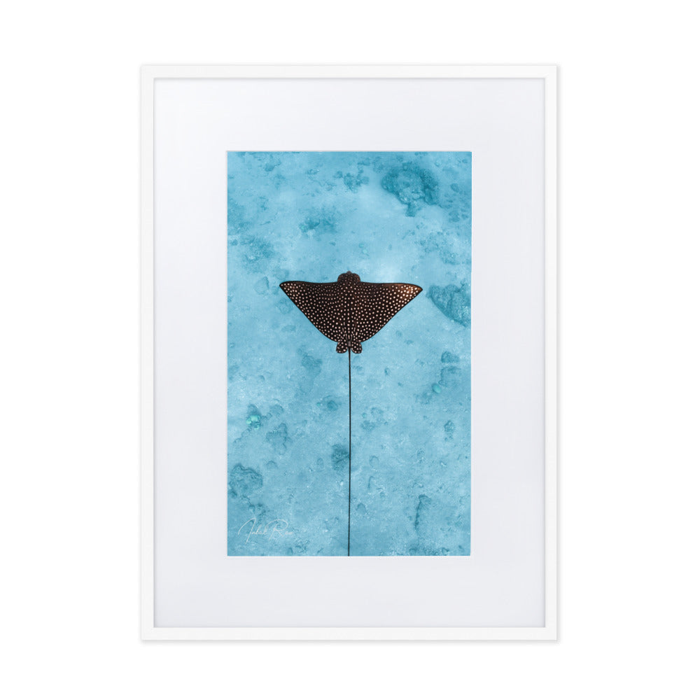 Eagle Ray (vertical)