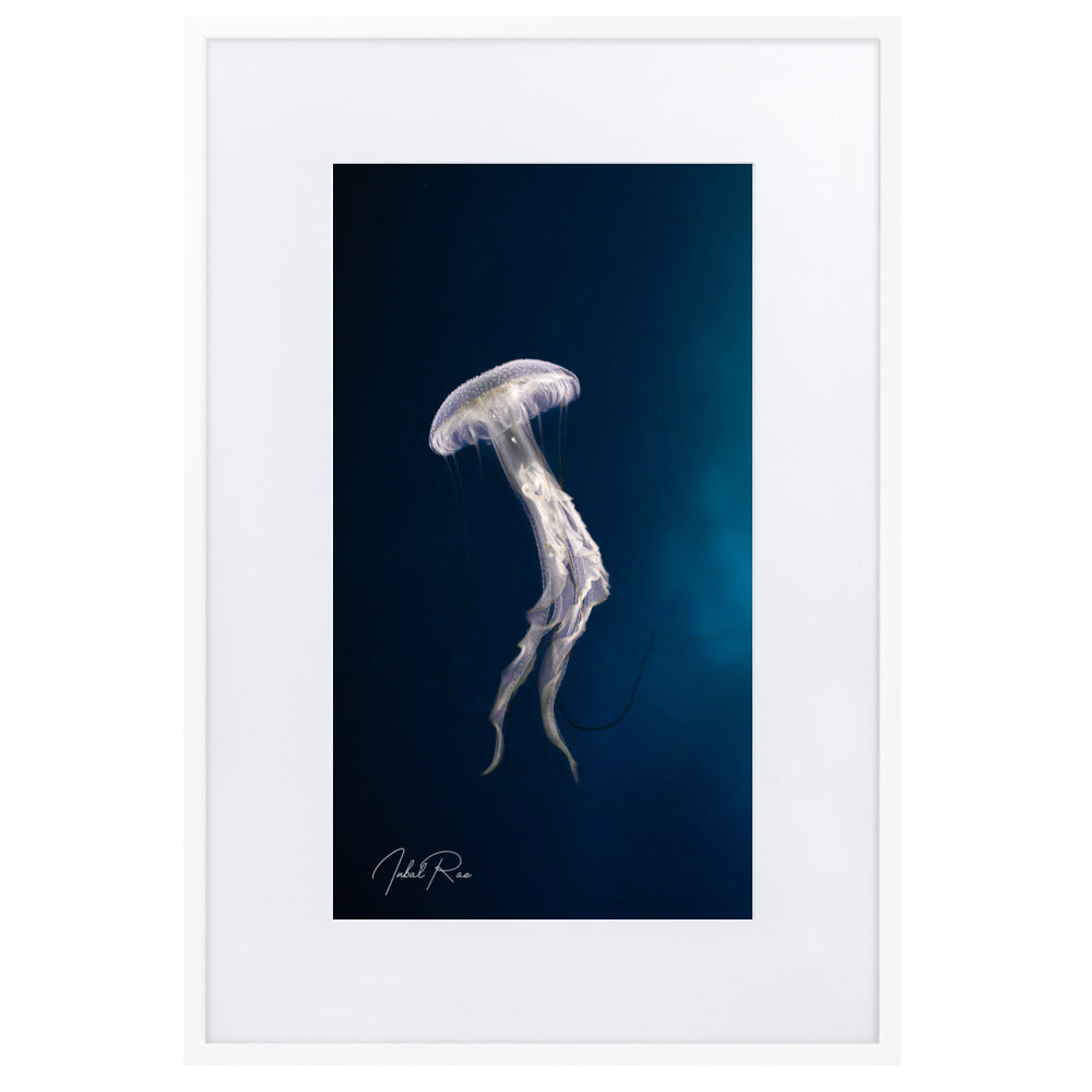 Elegance of a Jellyfish