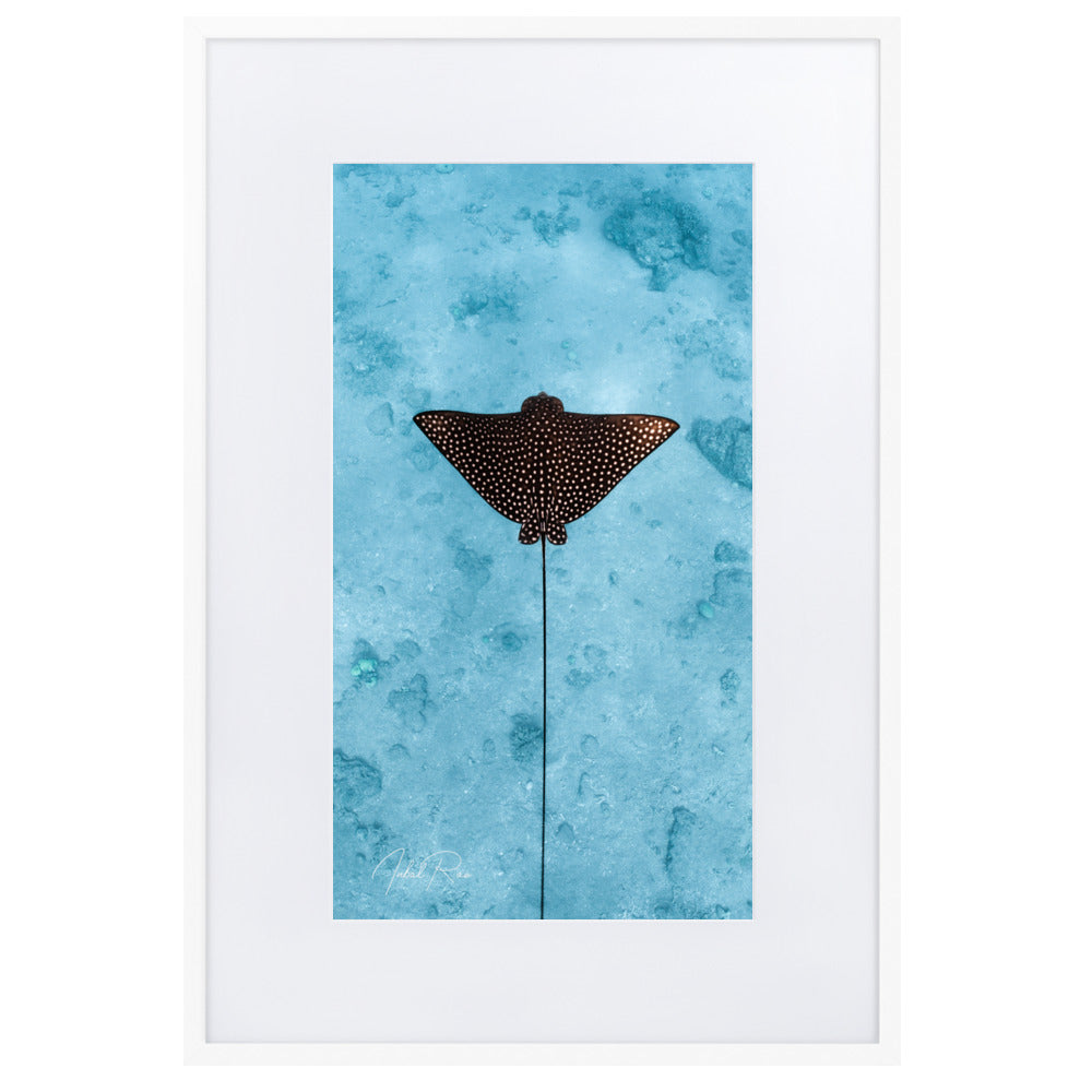 Eagle Ray (vertical)